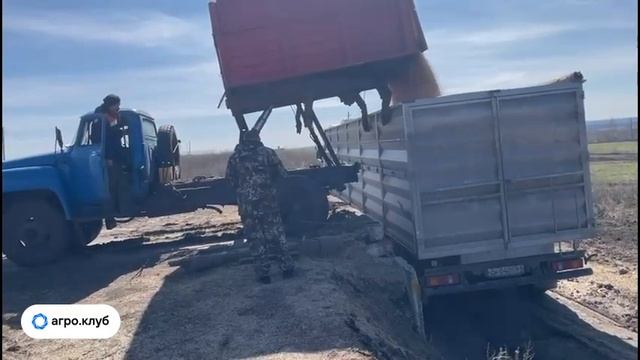 Оригинальная погрузка сои в Воронежской области