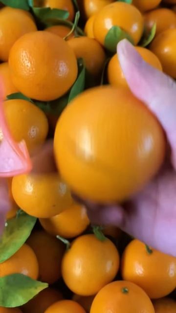 Peeling oranges is easy #shorts