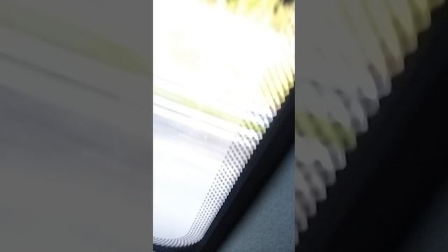 1000000970.mp4 бабуин сейчас