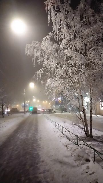 Изморозь, 6 декабря 2023, Петербург.