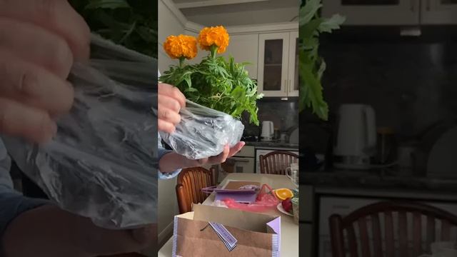 1000063174.mp4