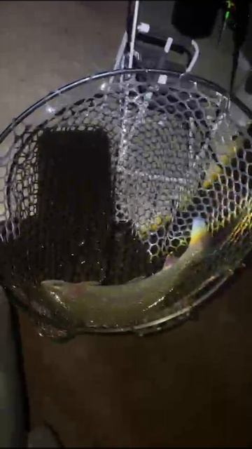 14-05-2025