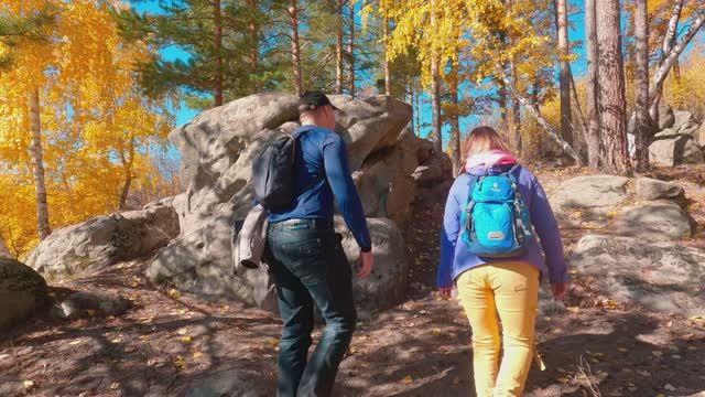 Золотая осень в рачейском бору