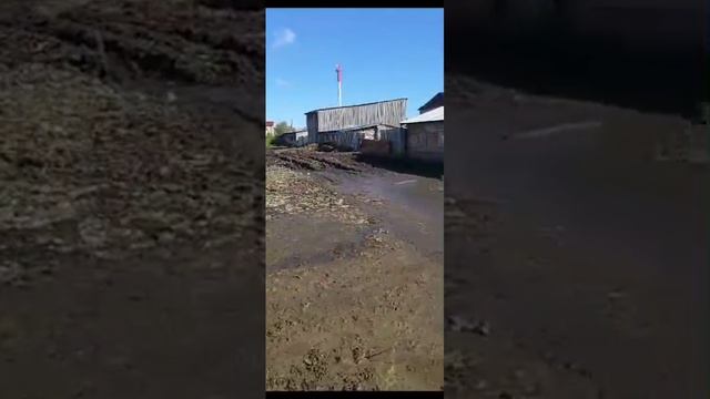Давай вставай иди домой