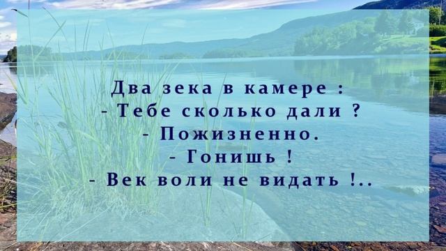 03. АНЕКДОТЫ ОТ И  ДО.