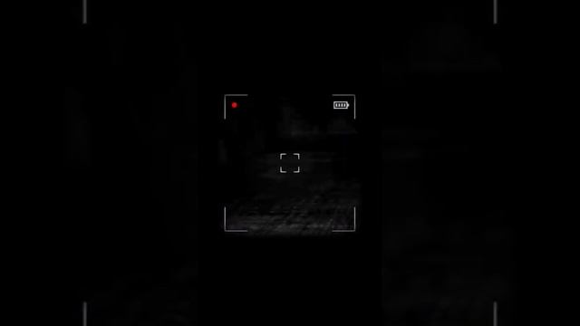 Сова в Content Warning