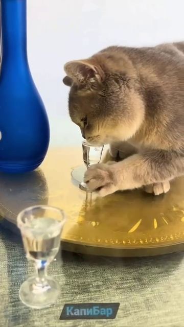 Tasting