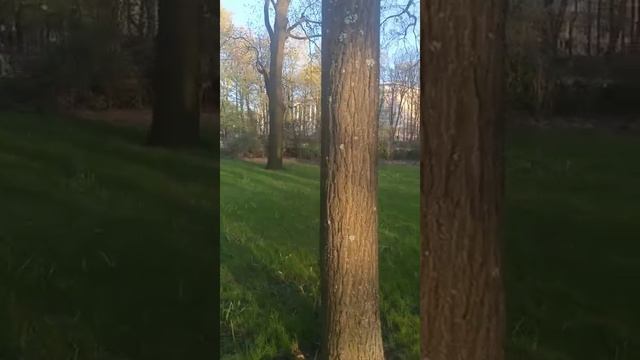 Божественная красота