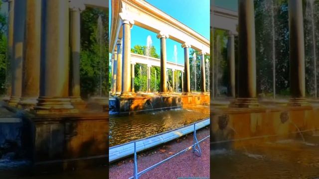 Петергоф! Львиный каскад! Римские фонтаны!
