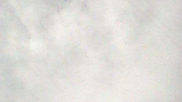 ВЕСЕННИЙ ПРОГУЛОЧНЫЙ БЛОГ №1375 ПОРА ПО БУТОВО ГУЛЯТЬ... ДО ПАДИКА...