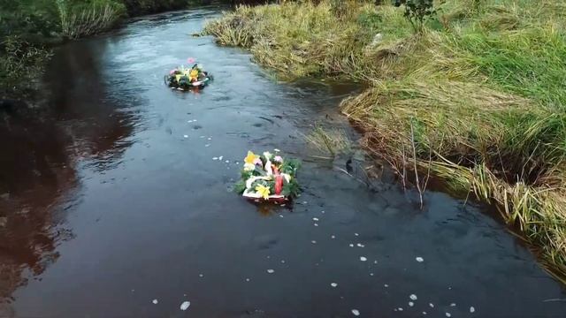 Акция «Цветы памяти» в Свободненском районе