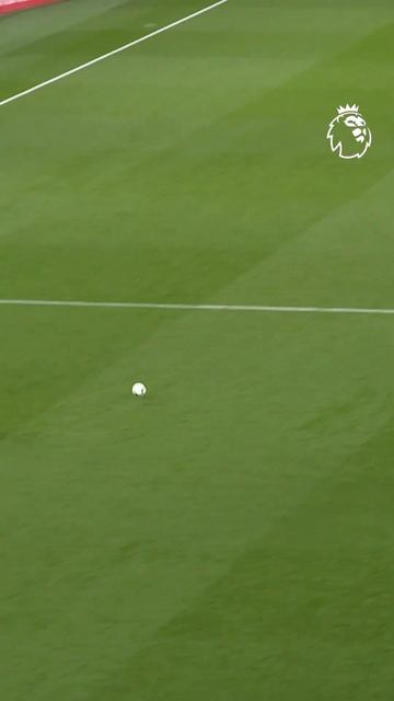 The Perfect Goal?