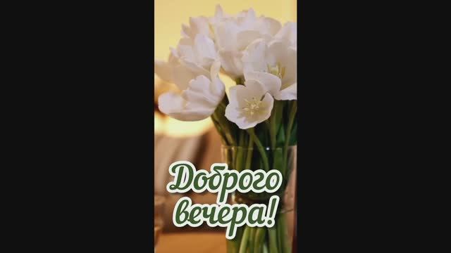 Доброго вечера!