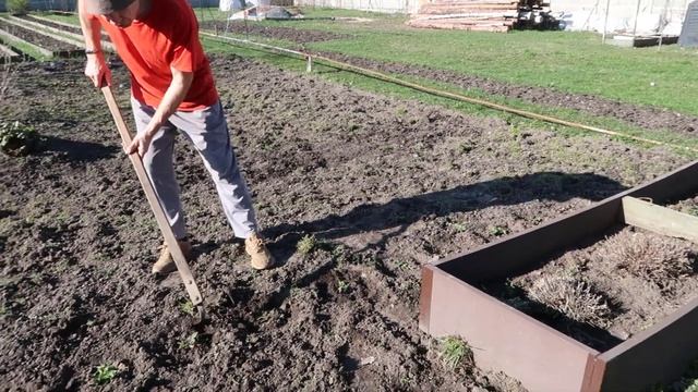 Чем подкормить клубнику весной, чтобы крупных ягод бы?