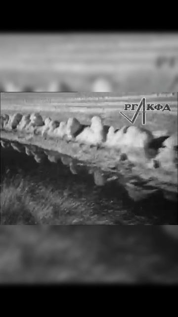 Выпускники Политеха: От учебных аудиторий к полям сражений. Дорога Жизни