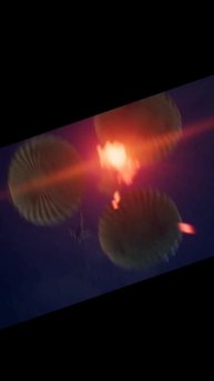 ВЫПАЛ "ЛЕДНИК"