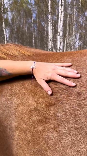Лошади - настоящие символы свободы, силы и красоты 🐴✨