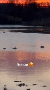 Сибирский закат 😍