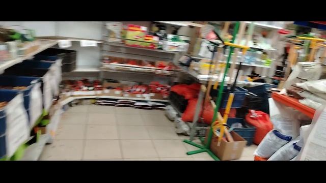 Огородные хлопоты ,гуляю по магазинам)