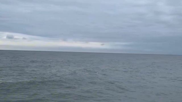 Сочи Адлер сегодня 14 мая 2025. Обстановка на пляже, какой курорт сегодня, море, погода