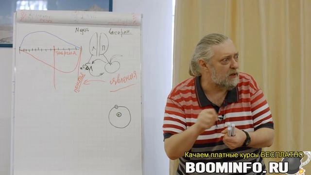 Мужчина и женщина. Лекция 1.