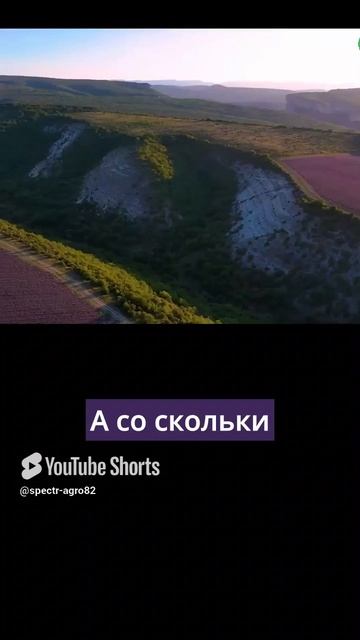 Как возрождается эфиромасличное производство в Крыму?