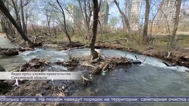 13.05.2025 Набережную реки Еланька планируют привести в порядок