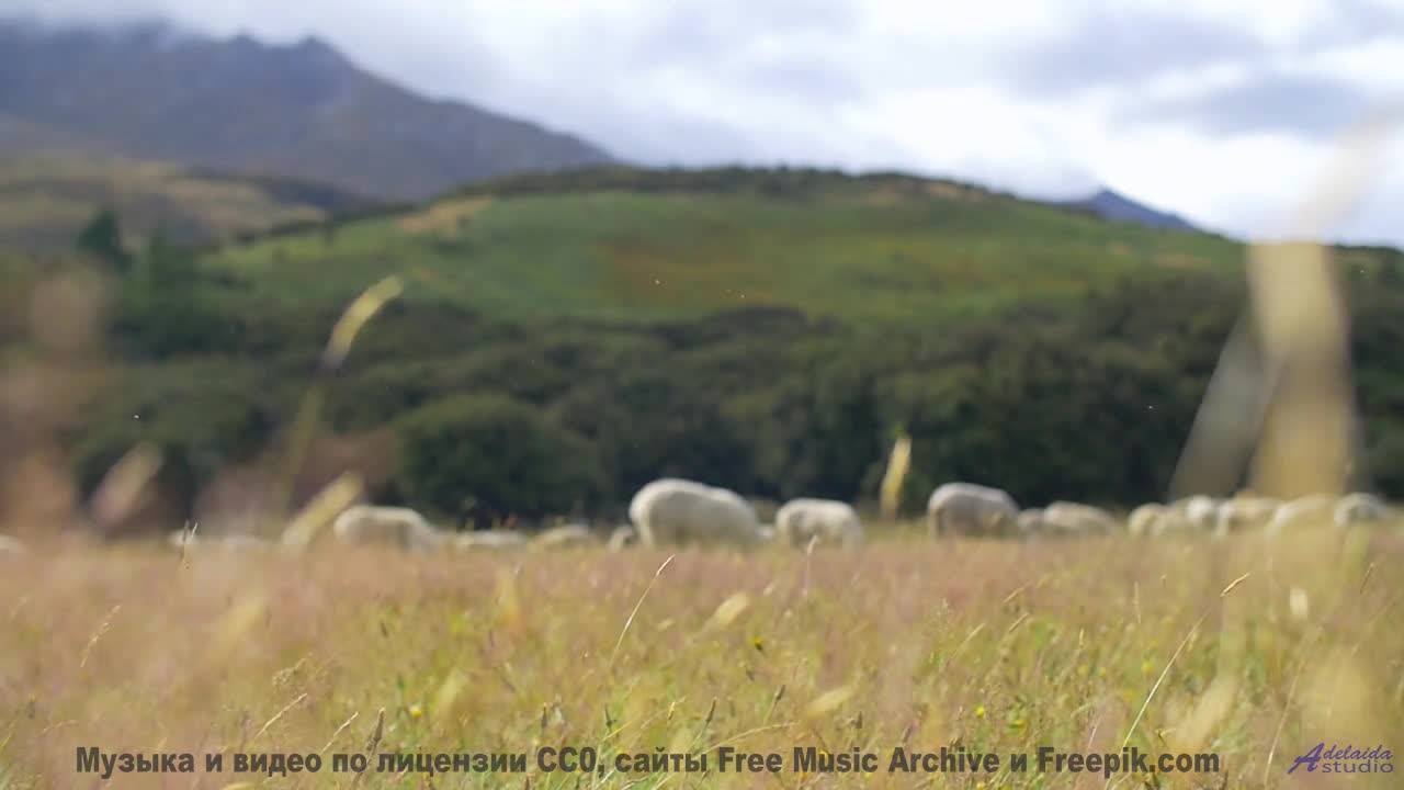 Звуки, которые могут заряжать ваш телефон - тест! - Die Stadtmusikanten -- Phillip Gross -- Quart