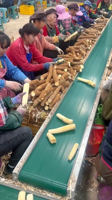 The process of peeling cassava skin to make food #shorts
