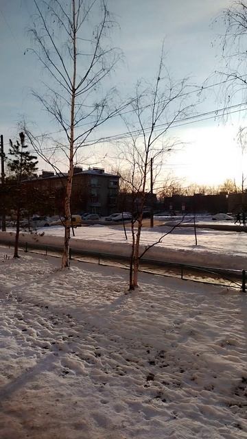 Сегодня в Петербурге потеплело до -17 градусов. 6 января 2024.