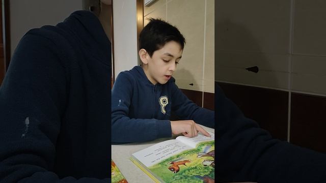 одни неприятности