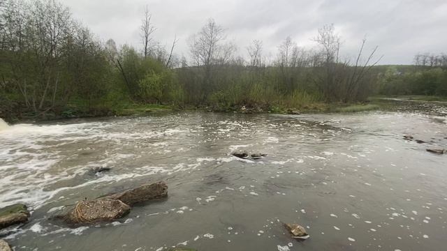 Relax. Лесная река