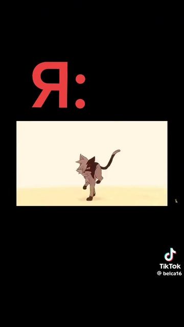 Коты не могут победить собак!
быстролап: