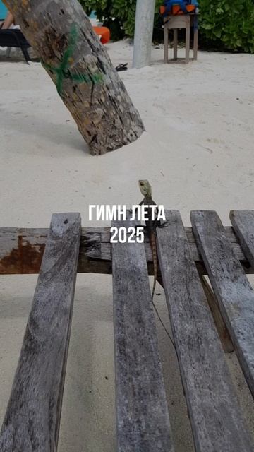❤️ с каждого кто ждёт лето ✈️🧳🌴