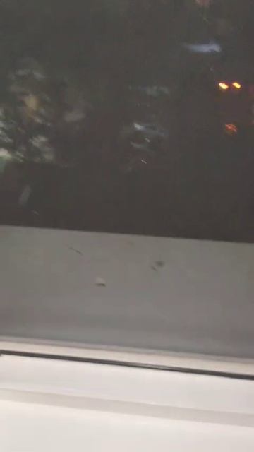 спокойной ночи