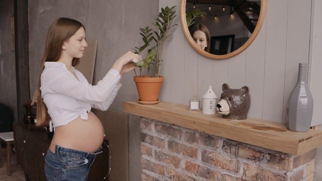 6952900-hd_1920_1080_25fps