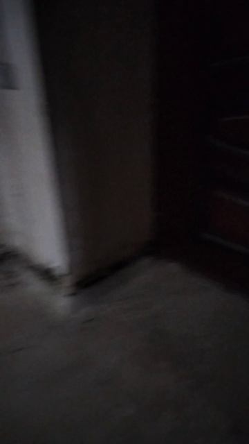 lv_0_20250514160700.mp4