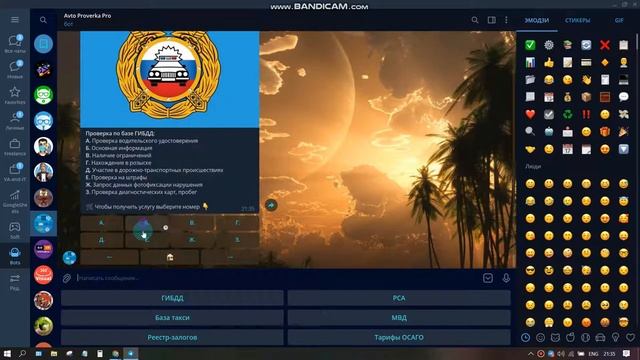🤖 Телеграм бот для получения информации об авто и водителях 📝