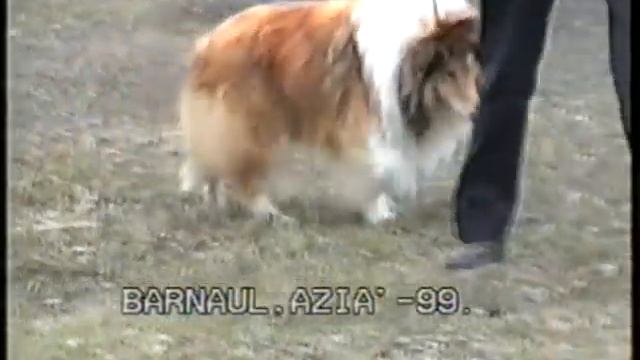 Линейр зе Спилбрейкер и Линейр зе Визард после выставки Азия 1999 год