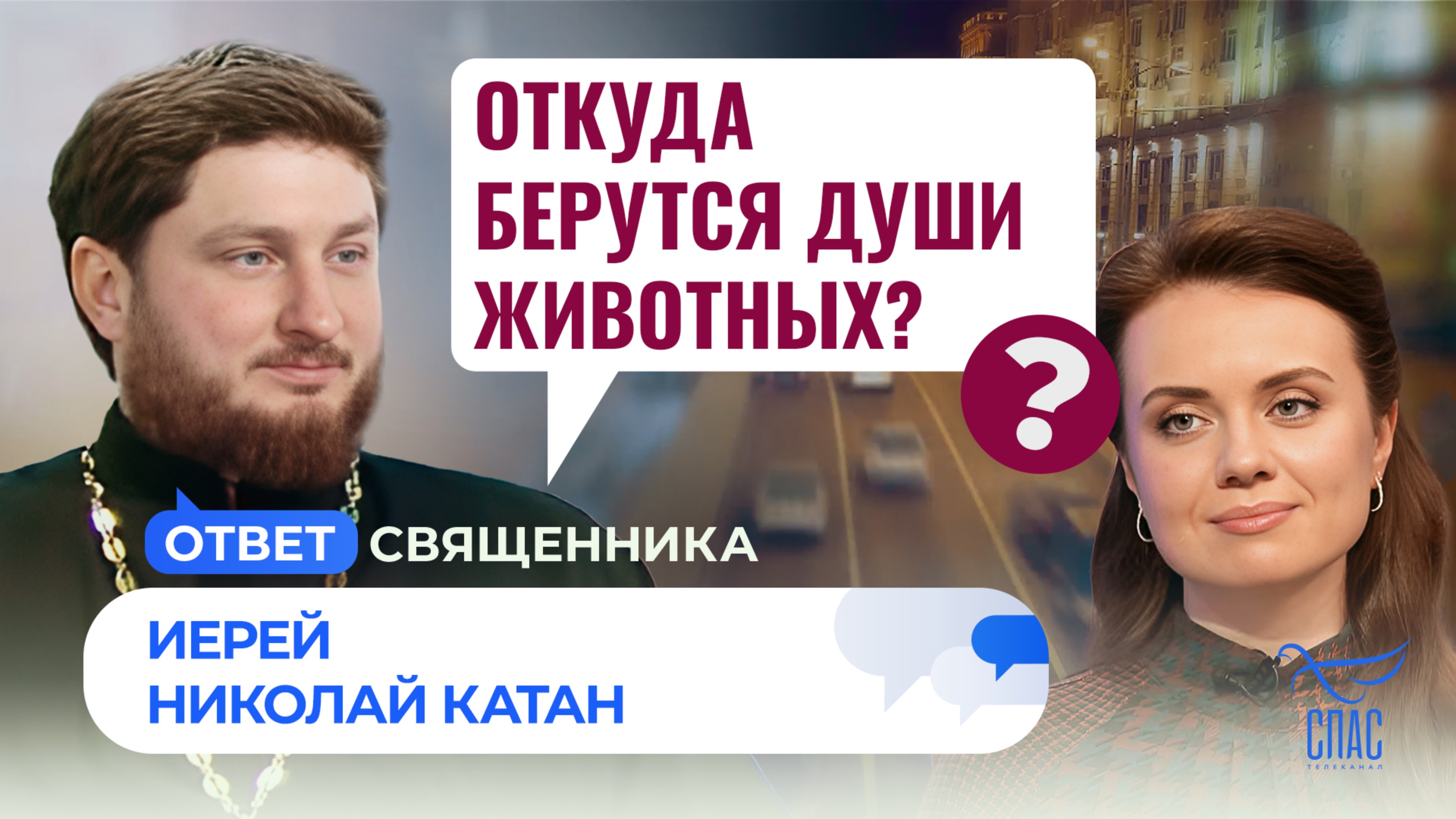 Откуда берутся души животных? / Ответ священника