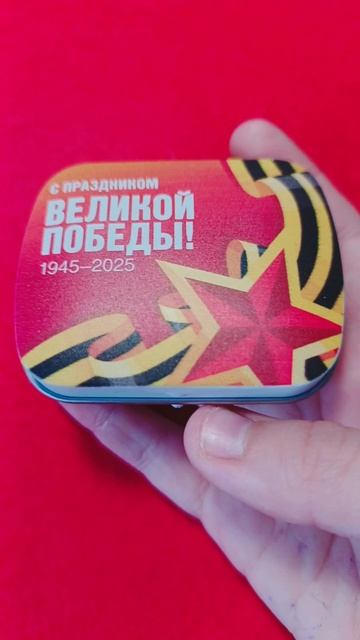 /ПОДЕЛКА/9 МАЯ/SCANDIC/
