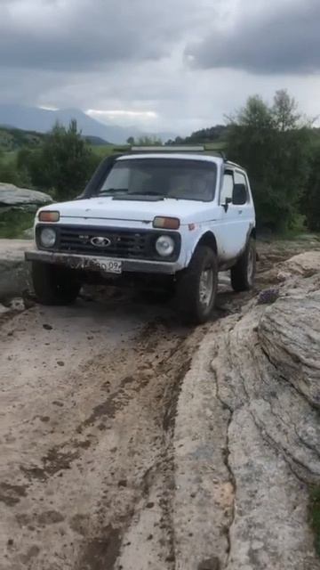 Нива