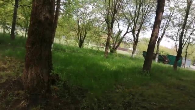14-05-2025 погода плохая. пошла мусор выкидывать