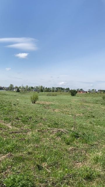 IMG_5478