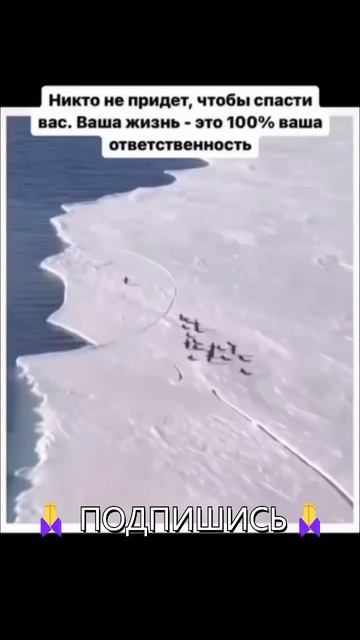 🧗♀️ Вершина успеха — в твоих руках! 🏔️