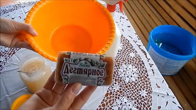 КАК ВЫТРАВИТЬ ТЛЮ ДЕГТЯРНЫМ МЫЛОМ