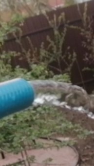 Скважина. Красный бор.