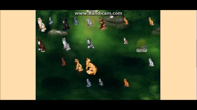 CatWar: ГРОЗОВОЕ ПЛЕМЯ!