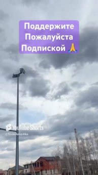 Чайки кричат на весь парк #рекомендации #short #shorts #tiktok #топанонсы #хочуврекомендации #тикток