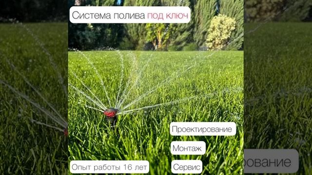 Видео WhatsApp 2025-05-14 в 19.49.27_bbe4ebad